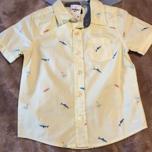 Never worn button down